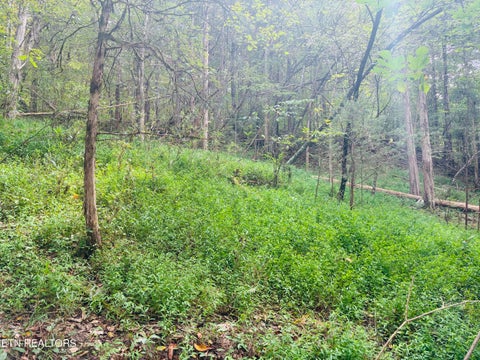 Tiny photo for 00 Cantwell Valley Rd, Sneedville, TN 37869 (MLS # 1356146)