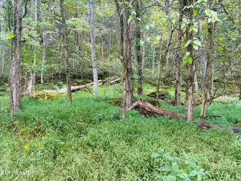 Tiny photo for 00 Cantwell Valley Rd, Sneedville, TN 37869 (MLS # 1356146)