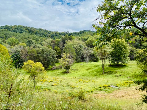 Tiny photo for 00 Cantwell Valley Rd, Sneedville, TN 37869 (MLS # 1356146)