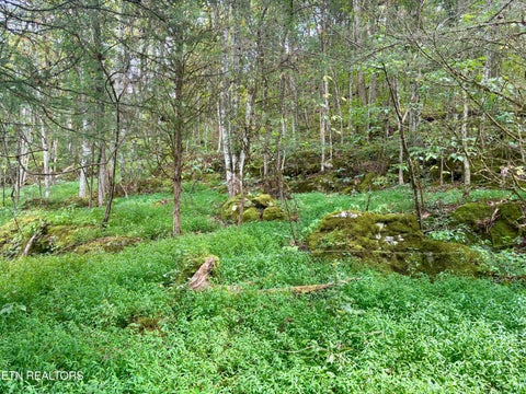 Tiny photo for 00 Cantwell Valley Rd, Sneedville, TN 37869 (MLS # 1356146)