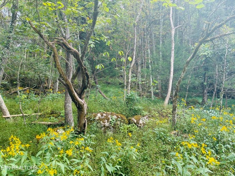 Tiny photo for 00 Cantwell Valley Rd, Sneedville, TN 37869 (MLS # 1356146)