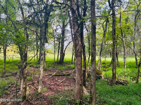 Tiny photo for 00 Cantwell Valley Rd, Sneedville, TN 37869 (MLS # 1356146)