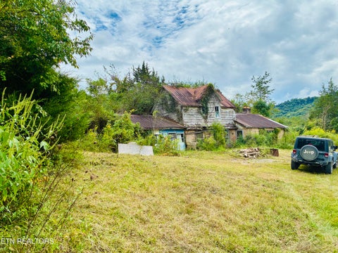 Tiny photo for 00 Cantwell Valley Rd, Sneedville, TN 37869 (MLS # 1356146)