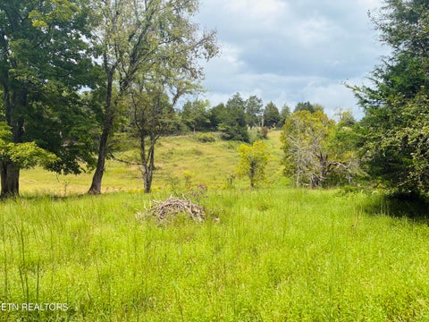 Tiny photo for 00 Cantwell Valley Rd, Sneedville, TN 37869 (MLS # 1356146)