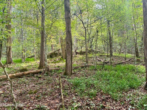 Tiny photo for 00 Cantwell Valley Rd, Sneedville, TN 37869 (MLS # 1356146)