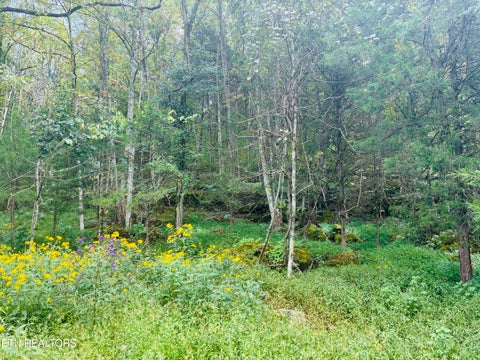 Tiny photo for 00 Cantwell Valley Rd, Sneedville, TN 37869 (MLS # 1356146)
