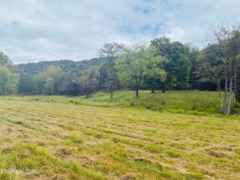 Tiny photo for 00 Cantwell Valley Rd, Sneedville, TN 37869 (MLS # 1356146)