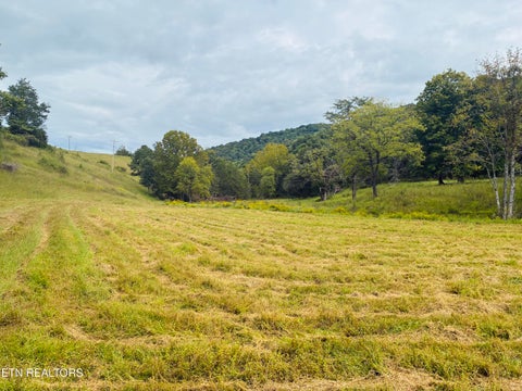 Tiny photo for 00 Cantwell Valley Rd, Sneedville, TN 37869 (MLS # 1356146)