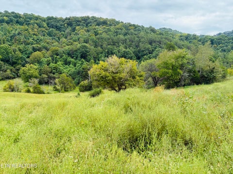 Tiny photo for 00 Cantwell Valley Rd, Sneedville, TN 37869 (MLS # 1356146)