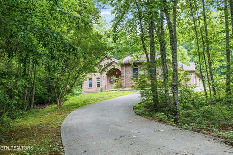 111 Stone Ridge Drive Andersonville TN 37705