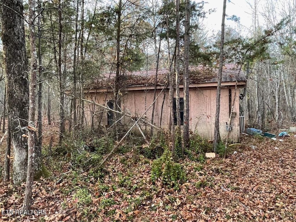 Photo of 240 Perkins Tr, Deer Lodge, TN 37726 (MLS # 1271228)