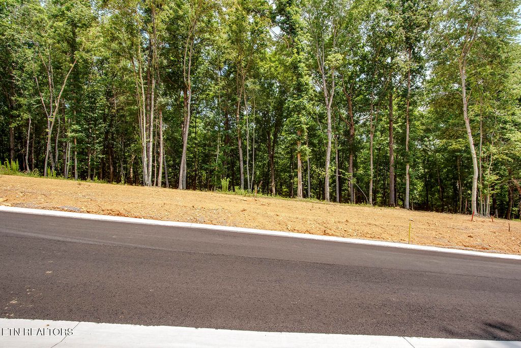 Photo of 325 Flip Flop Way, Loudon, TN 37774 (MLS # 1306440)