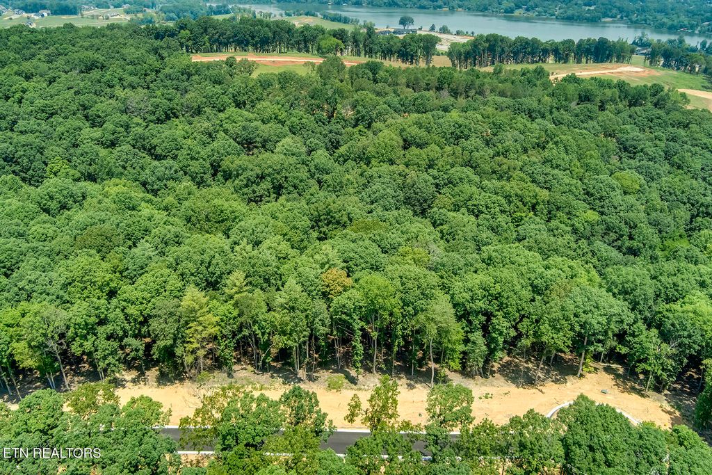 Photo of 325 Flip Flop Way, Loudon, TN 37774 (MLS # 1306440)