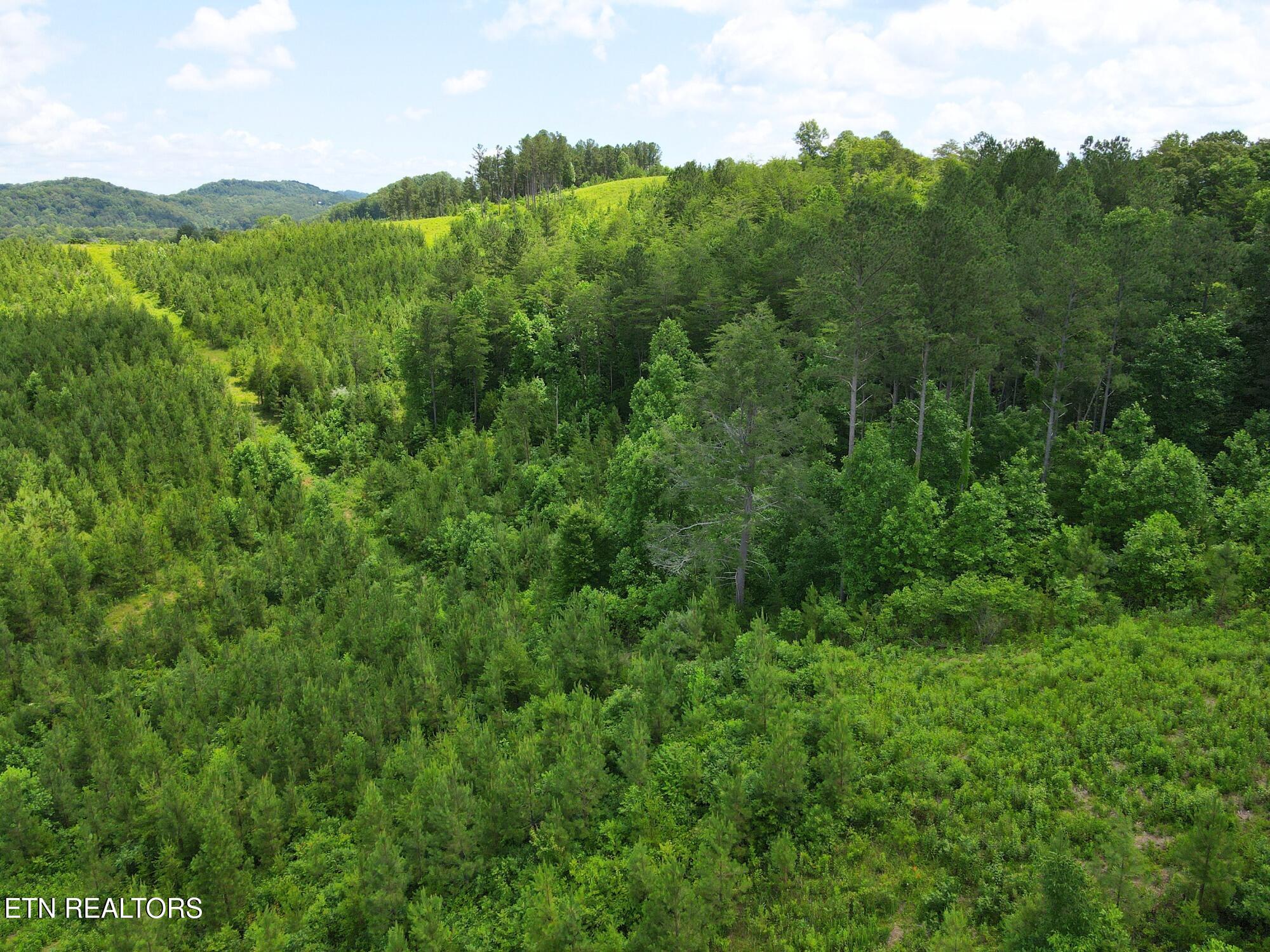 Lot 54 Three Point Rd