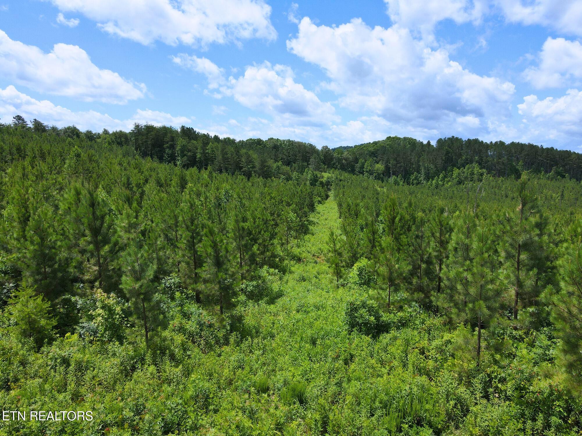 Lot 54 Three Point Rd