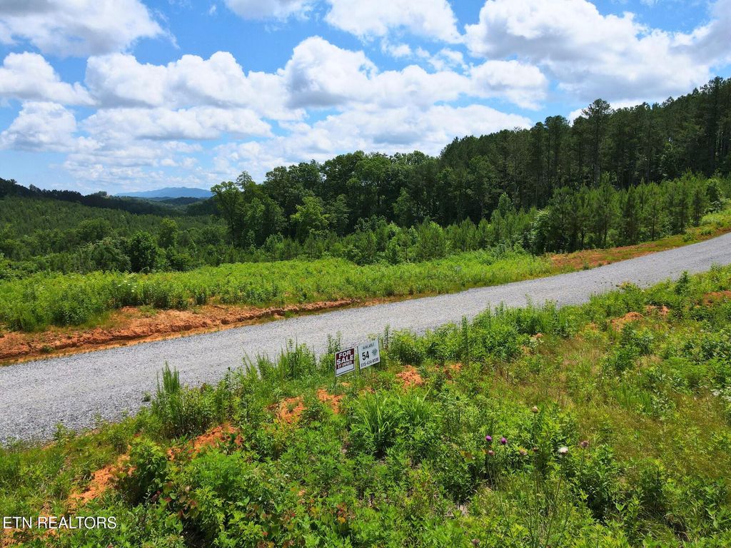Photo of 54 Three Point Rd, Vonore, TN 37885 (MLS # 1305932)