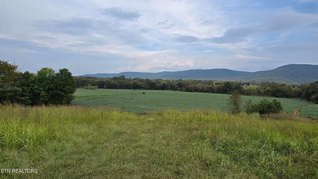 Photo of 50 Upper East Valley Rd, Pikeville, TN 37367 (MLS # 1316505)
