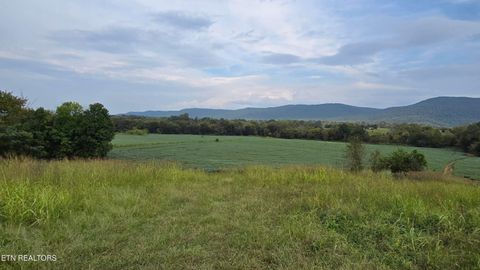 50 Upper East Valley Rd Pikeville TN 37367