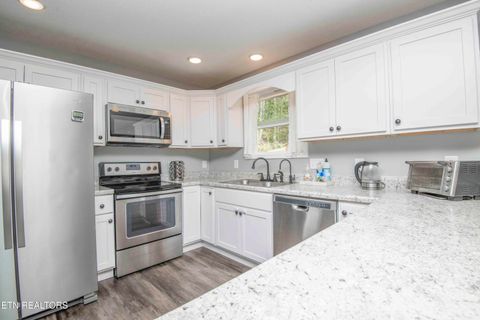 Tiny photo for 320 Signet Lane, Maynardville, TN 37807 (MLS # 1338424)