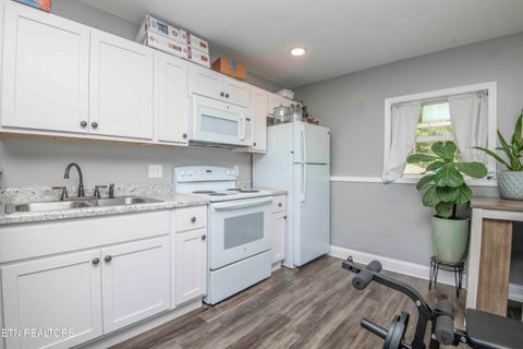 Tiny photo for 320 Signet Lane, Maynardville, TN 37807 (MLS # 1338424)