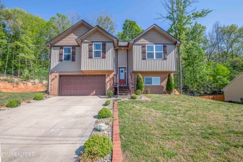 Photo of 320 Signet Lane, Maynardville, TN 37807 (MLS # 1338424)
