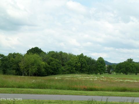 Tiny photo for 000 Tucker Place Way, Dandridge, TN 37725 (MLS # 1340669)