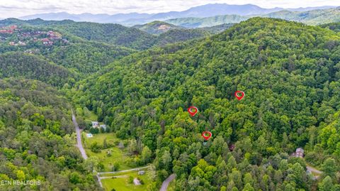 3266/3272 Lost Branch Rd Sevierville TN 37862
