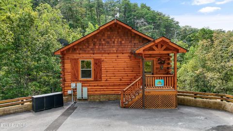 2184 Bear Haven Way Sevierville TN 37862
