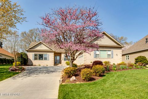 220 Tuhdegwa Lane Loudon TN 37774