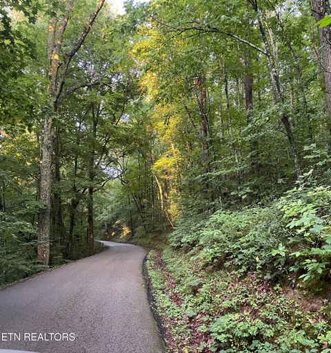 Tiny photo for 141 Settlers Rd, Harriman, TN 37748 (MLS # 1334961)