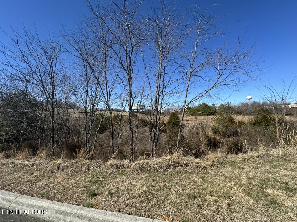 Lot 3 Winfield Dunn Pkwy