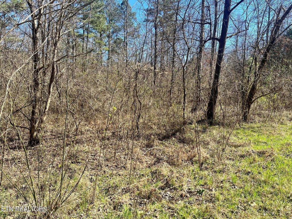 Photo of Sloan Rd Lot 16, Vonore, TN 37885 (MLS # 1276106)