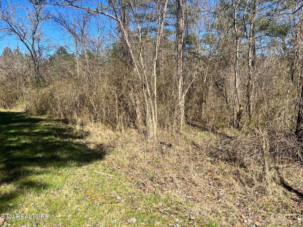 Photo of Sloan Rd Lot 16, Vonore, TN 37885 (MLS # 1276106)