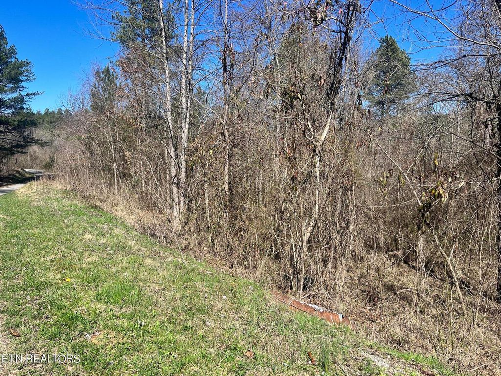 Photo of Sloan Rd Lot 16, Vonore, TN 37885 (MLS # 1276106)
