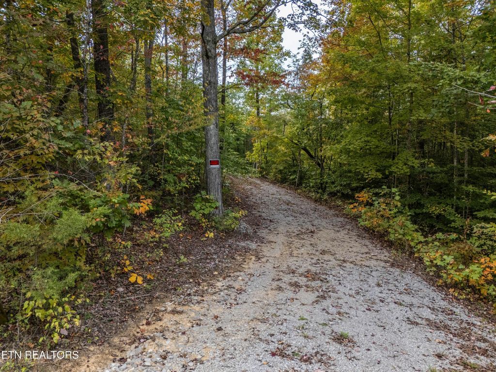 Photo of 592 Cumberland Cove Rd, Monterey, TN 38574 (MLS # 1319300)