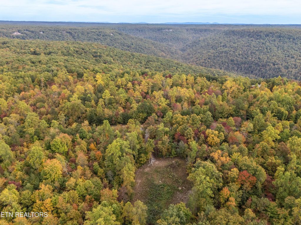 Photo of 592 Cumberland Cove Rd, Monterey, TN 38574 (MLS # 1319300)