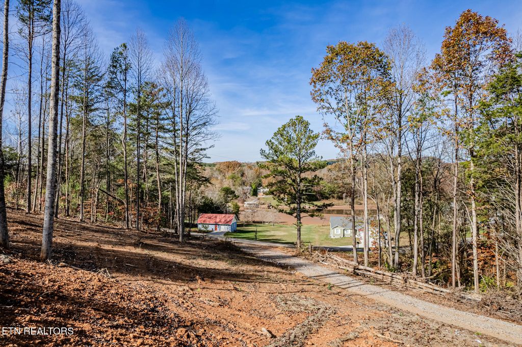 Photo of 1415 Bat Creek Shores Lane, Vonore, TN 37885 (MLS # 1282761)