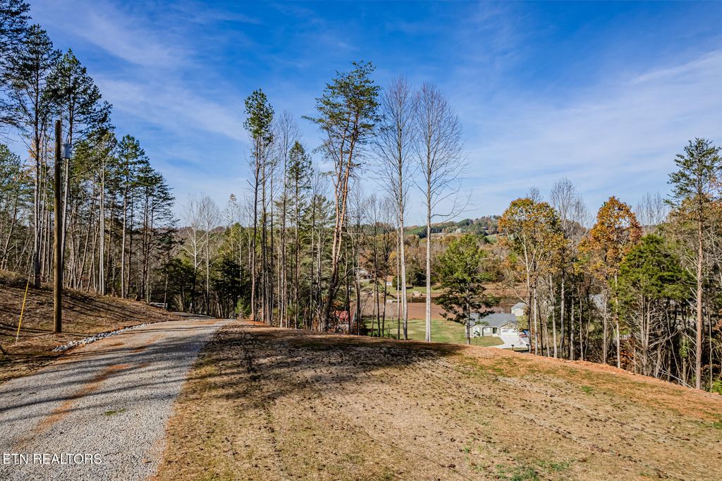 Photo of 1415 Bat Creek Shores Lane, Vonore, TN 37885 (MLS # 1282761)