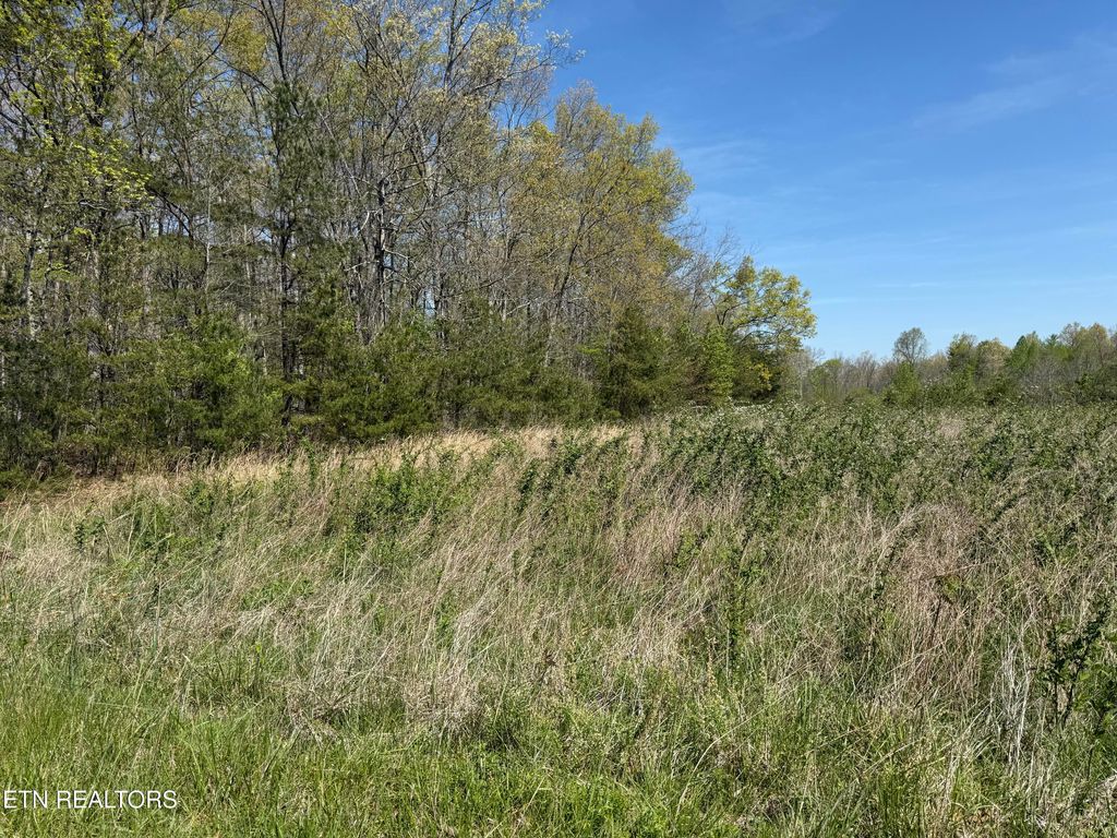 Photo of 0 Conley Rd, Crossville, TN 38571 (MLS # 1339699)