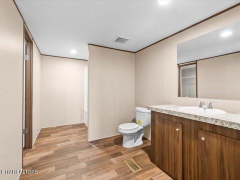 Tiny photo for 2173 Walnut St, White Pine, TN 37890 (MLS # 1318722)