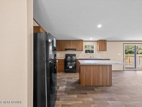 Tiny photo for 2173 Walnut St, White Pine, TN 37890 (MLS # 1318722)