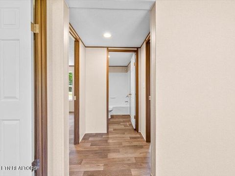 Tiny photo for 2173 Walnut St, White Pine, TN 37890 (MLS # 1318722)