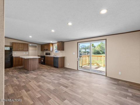 Tiny photo for 2173 Walnut St, White Pine, TN 37890 (MLS # 1318722)