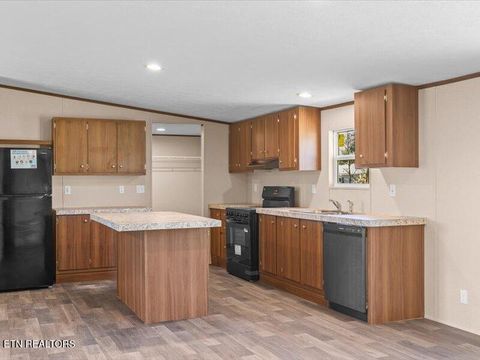 Tiny photo for 2173 Walnut St, White Pine, TN 37890 (MLS # 1318722)