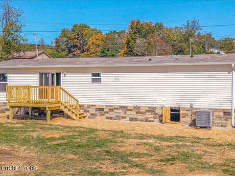 Tiny photo for 2173 Walnut St, White Pine, TN 37890 (MLS # 1318722)