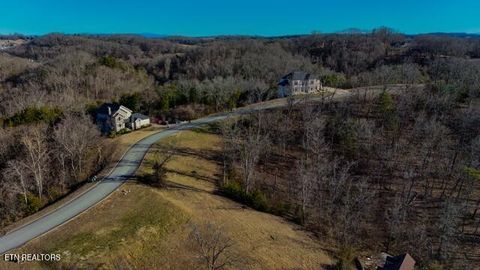 Tiny photo for 2035 Turners Landing Rd, Russellville, TN 37860 (MLS # 1331232)
