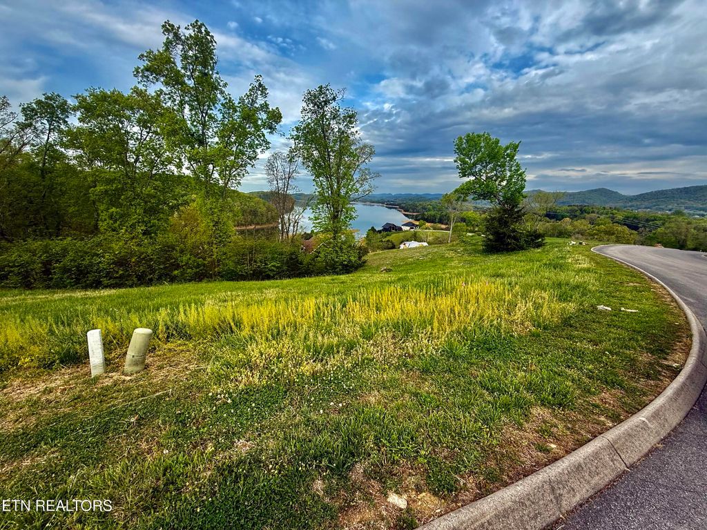 Photo of 2035 Turners Landing Rd, Russellville, TN 37860 (MLS # 1331232)