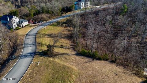 Tiny photo for 2035 Turners Landing Rd, Russellville, TN 37860 (MLS # 1331232)