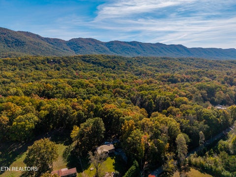 Photo of 11 Deer Run Drive, Maryville, TN 37803 (MLS # 1360487)
