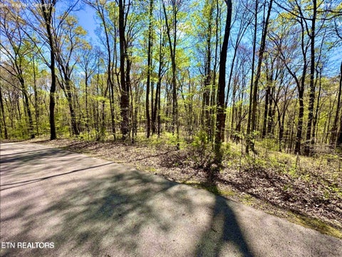 Tiny photo for Reservoir Rd, Norris, TN 37828 (MLS # 1355339)